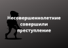 Арестованы за серию краж трое подростков из Рыбницы После окончания предварительного следствия уголовное дело будет передано в суд г. Рыбница.