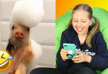 В Рыбнице стартовал конкурс «Самое забавное видео» Конкурс "Самое забавное видео"