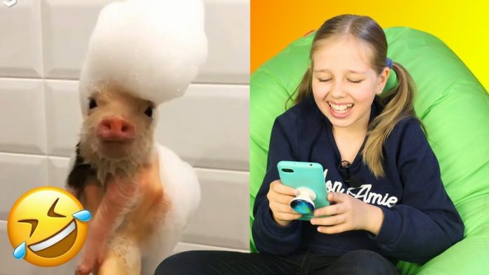 Конкурс "Самое забавное видео" Конкурс "Самое забавное видео"