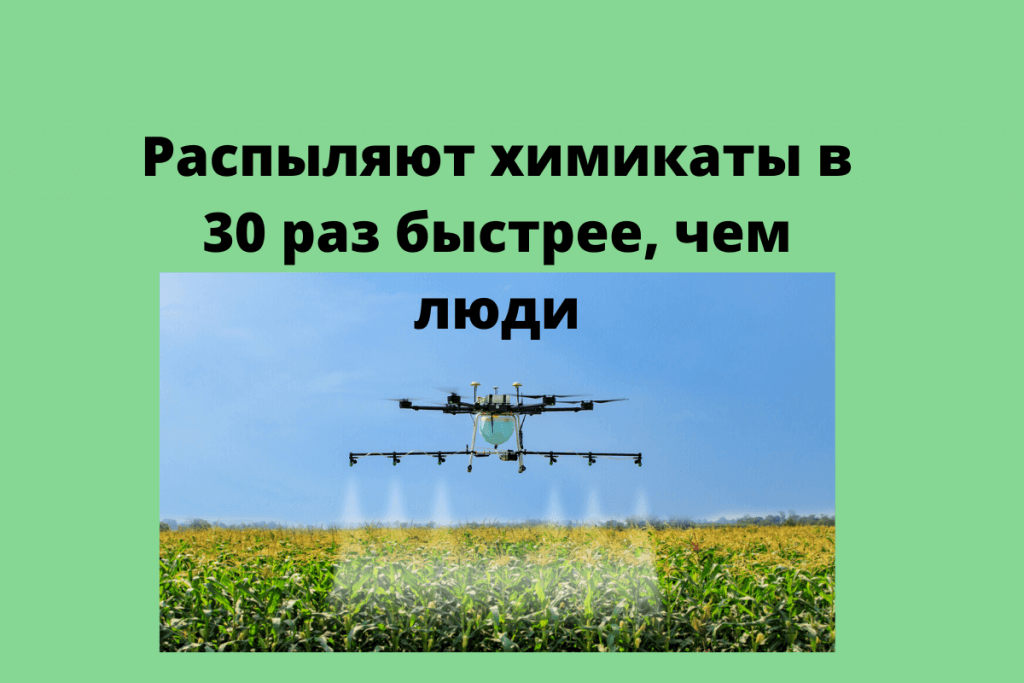 Для чего нужны дроны в сельском хозяйстве и как они влияют на развитие агробизнеса?