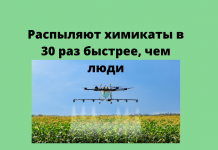 Если есть над полем дроны — не нужны нам агрономы? Для чего нужны дроны в сельском хозяйстве и как они влияют на развитие агробизнеса?