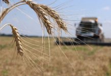 Меры поддержки аграриев приняты парламентом в окончательном чтении Меры поддержки аграриев приняты парламентом в окончательном чтении