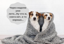 Заморозки на почве до -3°С ожидаются ночью 24 мая Ночью 24 мая ожидаются заморозки на почве.