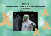 В Италии выздоровели более половины заболевших коронавирусом Согласно данным в Италии из 222 104 заразившихся выздоровели 112 541 человек. Фото: EPA