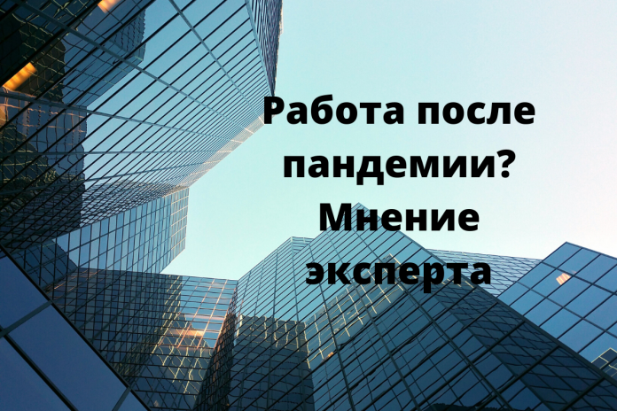 Главная профессия будущего на рынке труда в ближайшие 30 лет