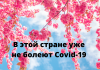 Какая страна победила COVID-19 без единой жертвы За весь период ни одного летального исхода и всего 270 случаев заражения.