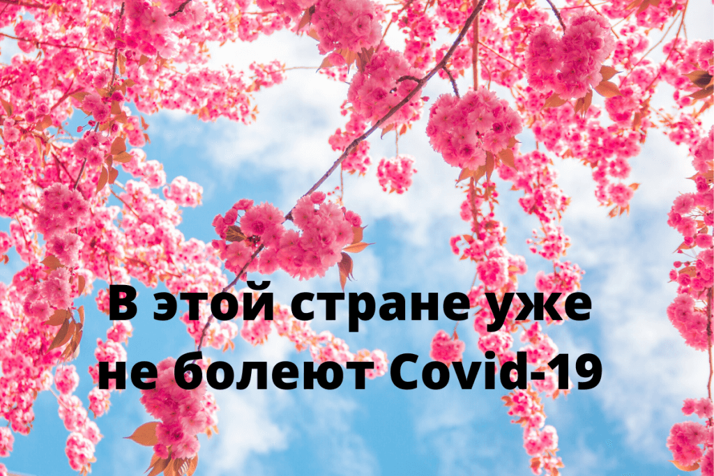 За весь период ни одного летального исхода и всего 270 случаев заражения.