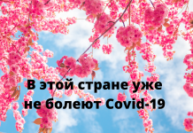 Какая страна победила COVID-19 без единой жертвы За весь период ни одного летального исхода и всего 270 случаев заражения.