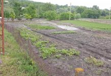 В Рыбницком районе подсчитают потери от прошедшего ливня с градом с.Красненькое (фото депутата ВС ПМР В. Куницкого)