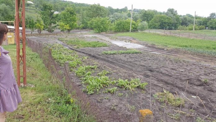 с.Красненькое (фото депутата ВС ПМР В. Куницкого) с.Красненькое (фото депутата ВС ПМР В. Куницкого)