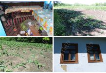 Дети избили 81-летнюю жительницу одного из сел Рыбницкого района Дети побили стёкла и устроили погром в доме