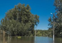 От разлива Днестра в Меренештах оказались подтоплены 40 домов ГУпЧС: В Меренештах подтоплены 40 домов. Фото: novostipmr.com