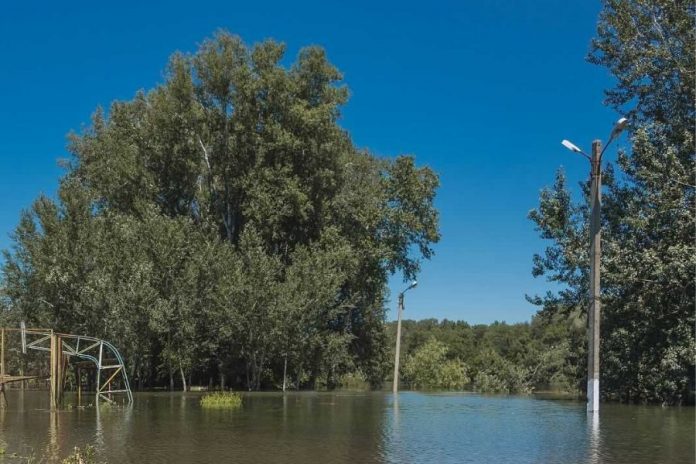 ГУпЧС: В Меренештах подтоплены 40 домов. Фото: novostipmr.com ГУпЧС: В Меренештах подтоплены 40 домов. Фото: novostipmr.com