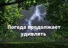 Прогноз погоды на 22 июня в Приднестровье В последующие сутки характер погоды существенно не изменится. Фото: avto.goodfon.ru