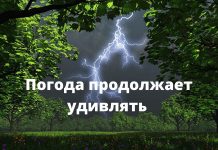 Прогноз погоды на 22 июня в Приднестровье В последующие сутки характер погоды существенно не изменится. Фото: avto.goodfon.ru