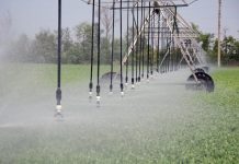 В Приднестровье увеличили лимиты на финансирование мелиоративной отрасли Лимиты на финансирование мелиоративной отрасли увеличили