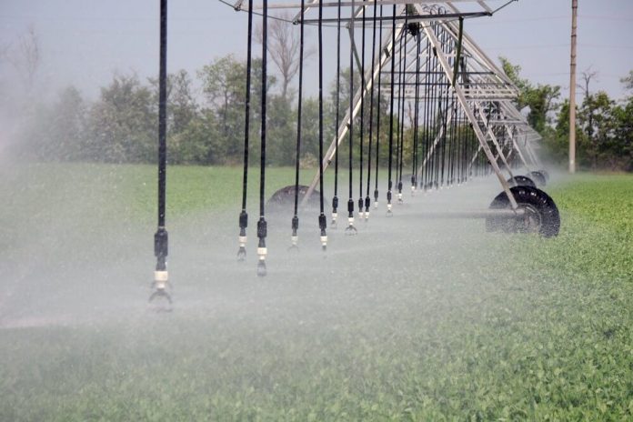 Лимиты на финансирование мелиоративной отрасли увеличили Лимиты на финансирование мелиоративной отрасли увеличили