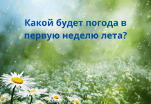 Прогноз погоды на неделю Какой будет погода в первую неделю лета