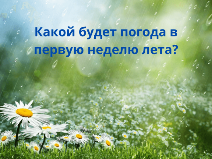 Какой будет погода в первую неделю лета