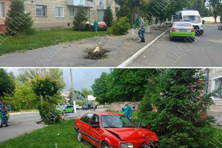 В Рыбнице мужчина умер за рулём. Фото: сайт МВД ПМР