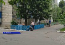 Палисадник своими руками: жильцы одного из домов в Рыбнице благоустроили территорию у подъезда