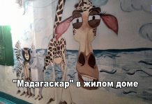 Герои мультфильма «Мадагаскар» поселились в подъезде жилого дома в Рыбнице