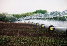 В Приднестровье начался поливной сезон Полив. Меллиорация