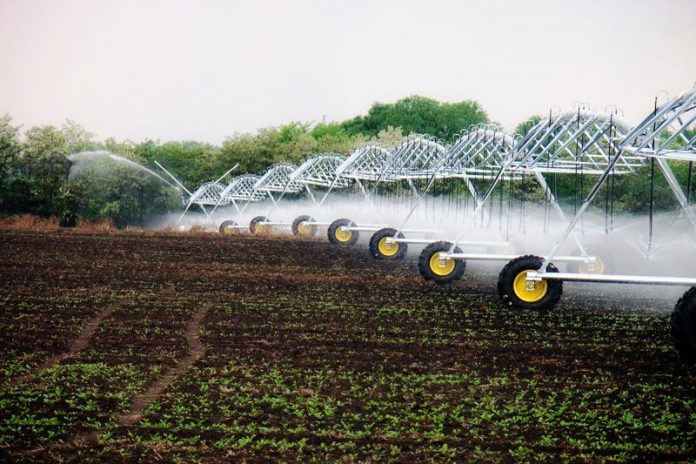 Полив. Меллиорация