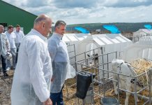 Вадим Красносельский посетил животноводческий комплекс в Рыбницком районе