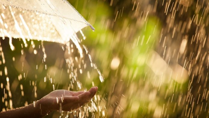 дождь дождь, гроза, погода