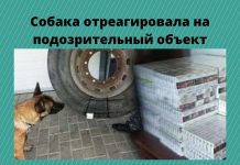 Более 20 000 контрабандных сигарет обнаружили сотрудники таможни Собака, специализирующаяся на обнаружении табачных изделий, отреагировала на подозрительный объект. Использовано фото: point.md