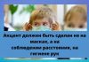 «Школьникам необязательно носить маски»: глава НАОЗ прокомментировал инициативу Министерства образования Молдовы «Школьникам необязательно носить маски»: глава НАОЗ прокомментировал инициативу Министерства образования Молдовы. Фото: brd24.com