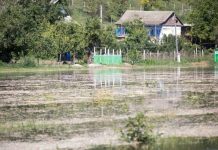 Уровень воды в Днестре снижается: ситуация с паводком в Приднестровье ПАВОДКОВАЯ СИТУАЦИЯ В РЕСПУБЛИКЕ ПОСТЕПЕННО СТАБИЛИЗИРУЕТСЯ. Фото: moldpres.md