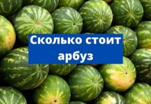 Сезон молдавских арбузов открыт Сколько стоит арбуз