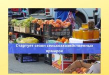 С 1 августа в Рыбнице возобновляют работу ярмарки выходного дня Ярмарки выходного дня возобновляют работу