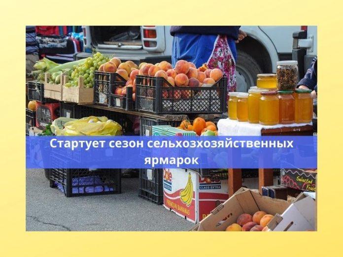 Ярмарки выходного дня возобновляют работу Ярмарки выходного дня возобновляют работу