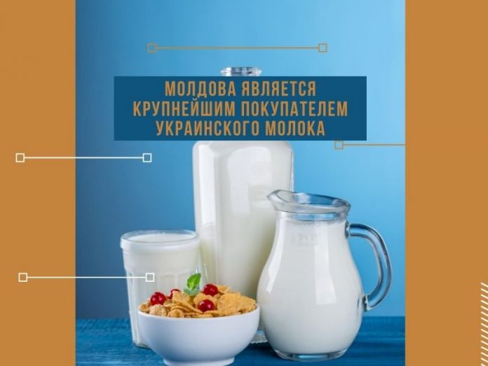 Молдова является крупнейшим покупателем украинского молока