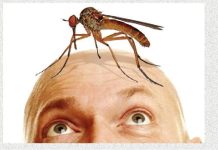 Укусы комаров могут вызвать крапивницу и даже привести к развитию инфекционных заболеваний Особенно опасными могут быть воспалительные процессы в области головы, отмечает специалист. Фото: stopklopu.com