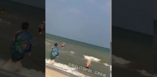 Внук на поводке