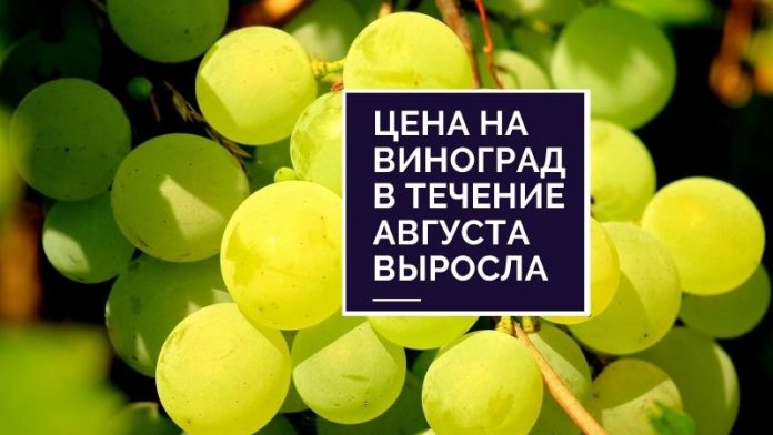 Цена на виноград в течение августа выросла