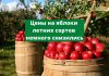 В Молдове выросли объемы экспорта яблок летних сортов в РФ цены на яблоки летних сортов немного снизились