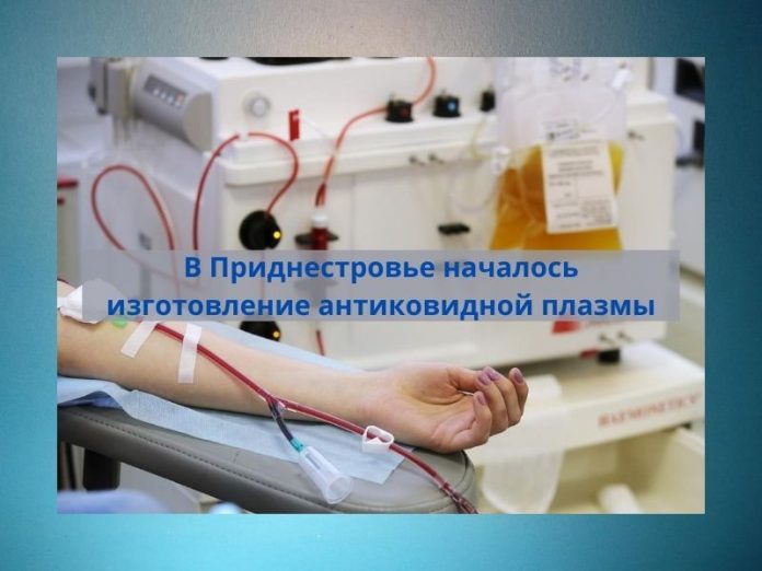 Для лечения больных COVID-19 будут использовать антиковидную плазму