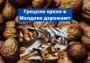 Цена на грецкие орехи в Молдове может вырасти Грецкие орехи в Молдове дорожают