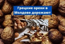 Цена на грецкие орехи в Молдове может вырасти Грецкие орехи в Молдове дорожают