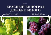 В Молдове виноград красных сортов дороже белых красный виноград дороже белого