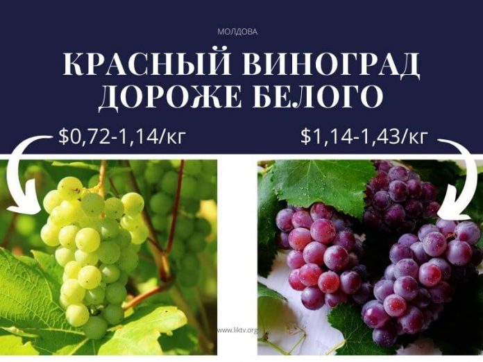 красный виноград дороже белого красный виноград дороже белого