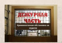 За неделю в Приднестровье зарегистрировано более 200 сообщений о преступлениях Криминогенная обстановка за неделю