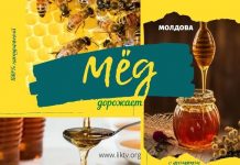 Молдавский мёд в 2020 году дорожает мёд в Молдове дорожает