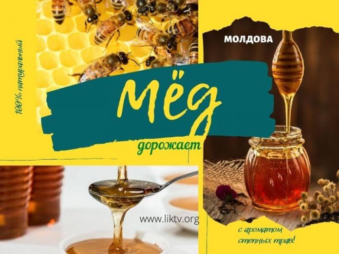 мёд в Молдове дорожает мёд в Молдове дорожает
