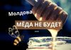 Мёда нет. Худший год для пчеловодов Молдовы Мёда не будет